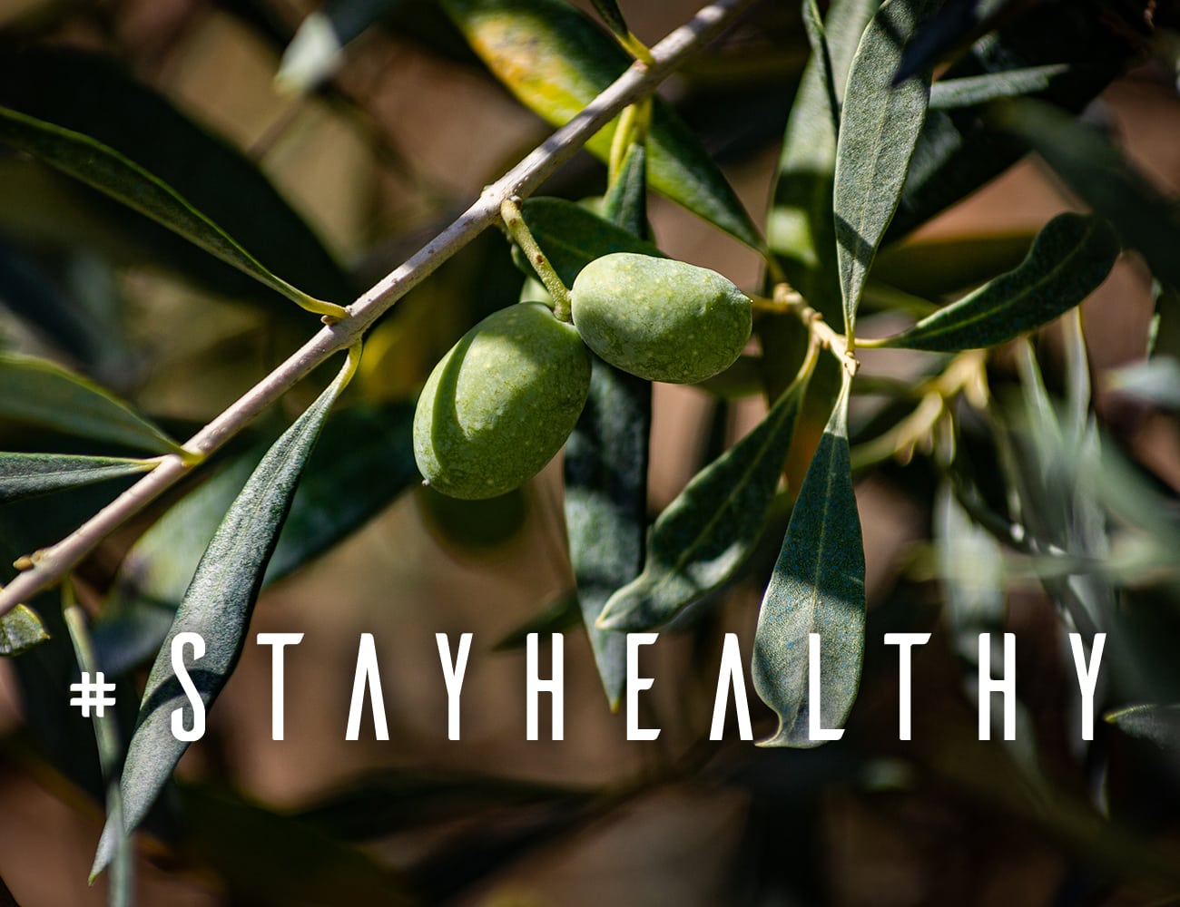Mit Olivenöl Gesundheit fördern – geht das?